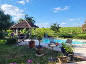Villa au cœur des vignes